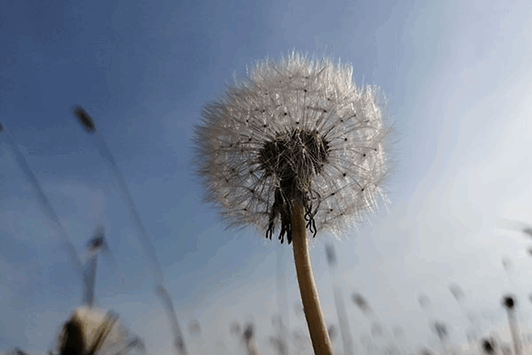Bild 1 von Praxis für Osteopathie Gerda Loer
