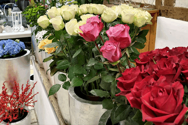 Bild 1 von Fleurop Blumenladen Floridea